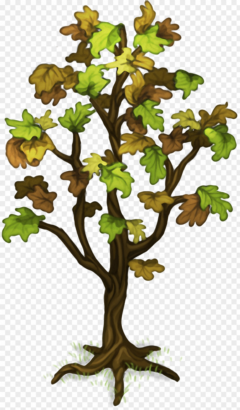 Plants Tree Plant Island Image Twig Wiki PNG