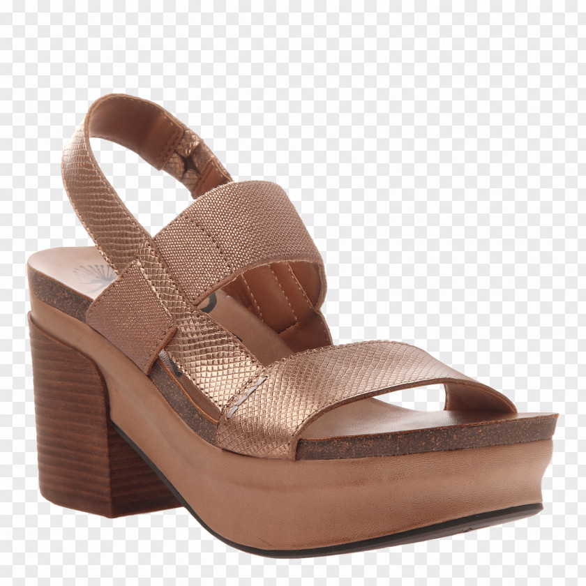 Sandal Wedge Platform Shoe Clothing PNG