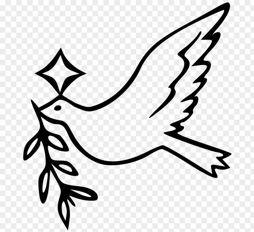 Z Vector Columbidae Doves As Symbols Drawing Peace Clip Art PNG