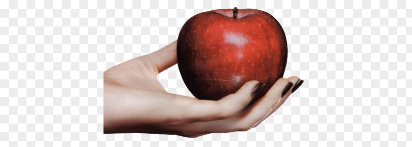 Apple Paradise Hand Woman Foot PNG