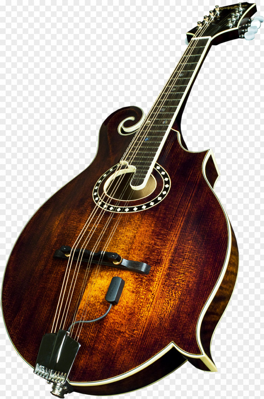 Bass Guitar Acoustic Mandolin Tiple Acoustic-electric PNG