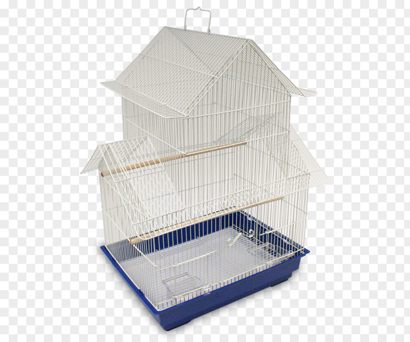 Bird Budgerigar Domestic Canary Finches Cage PNG