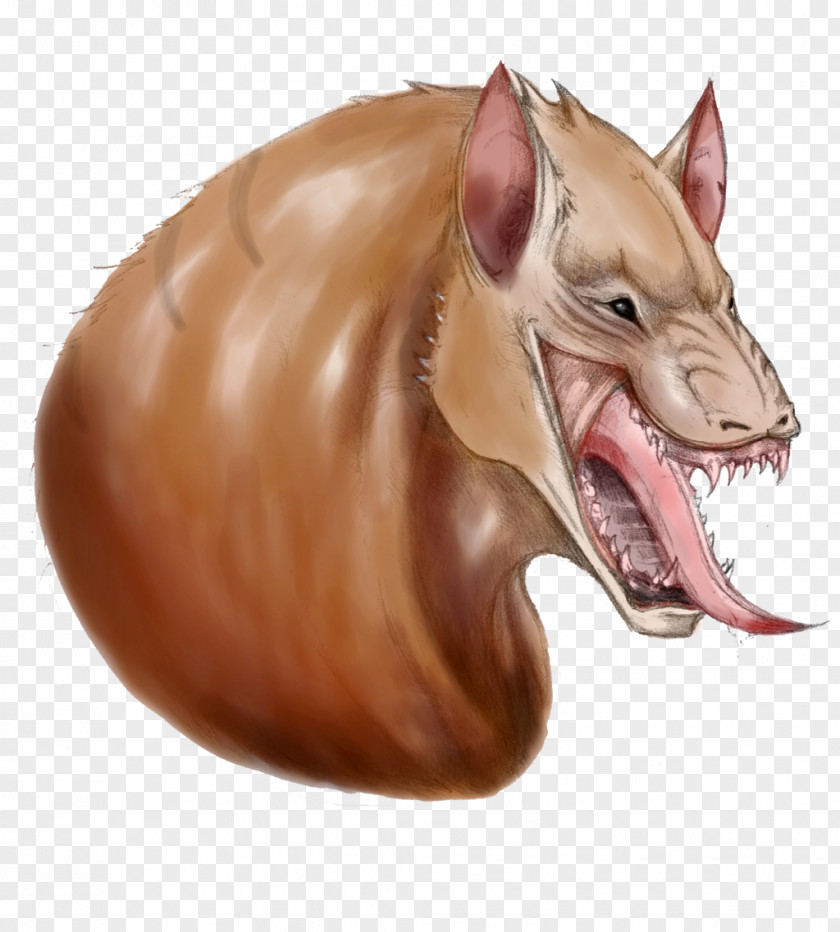 Dingodile Pig's Ear Snout Carnivora PNG