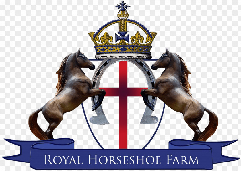 Horse Royal Horseshoe Farm Front Equestrian Trail Riding PNG