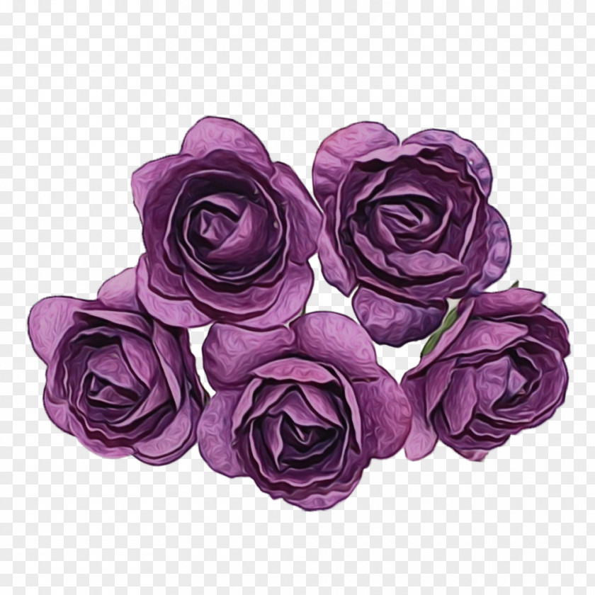 Viola Violet Family Pink Flower Cartoon PNG