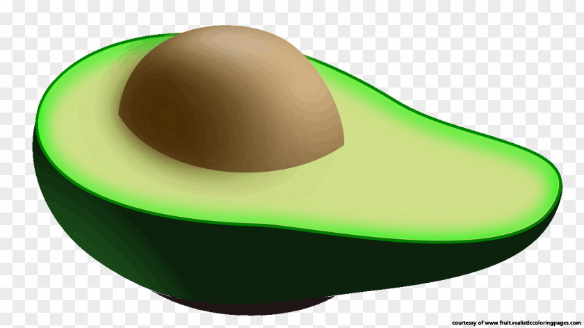 Avocado Clip Art Illustration Image PNG