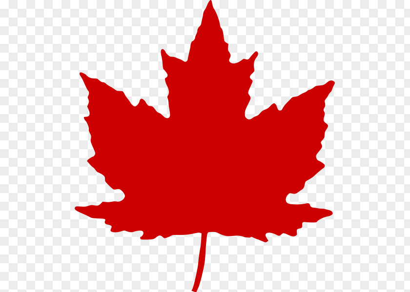 Canada Maple Leaf Clip Art PNG