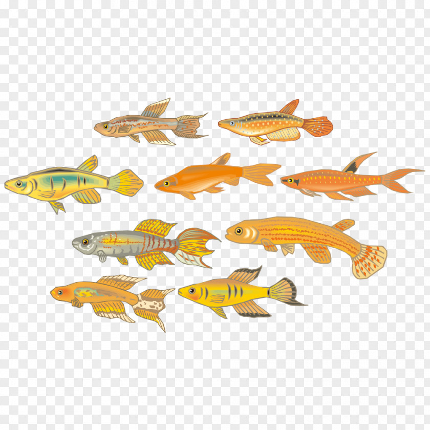 Cartoon Fish Pattern PNG