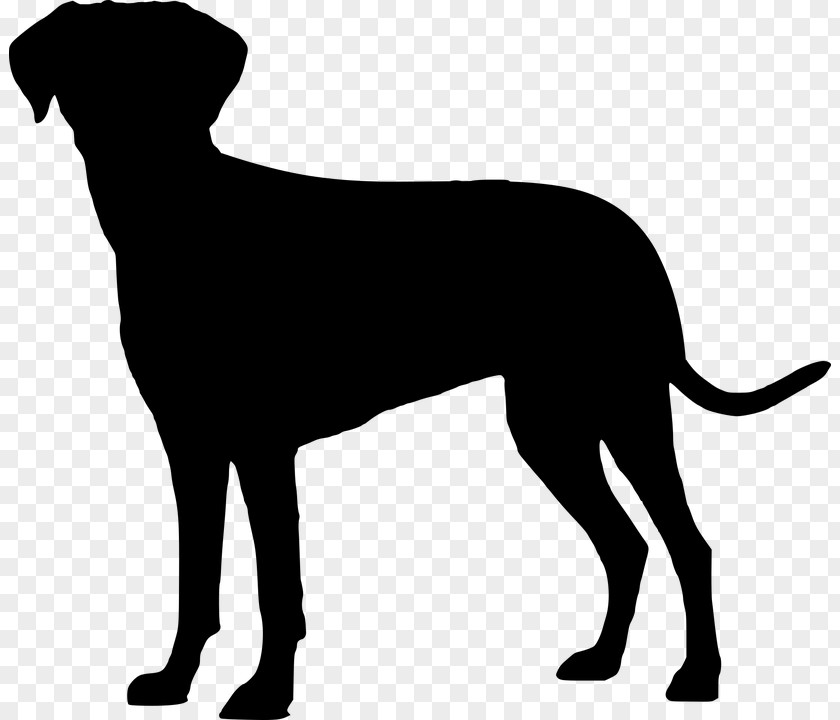 Coonhound Silhouette Dog Labrador Retriever Puppy Image Clip Art Breed PNG