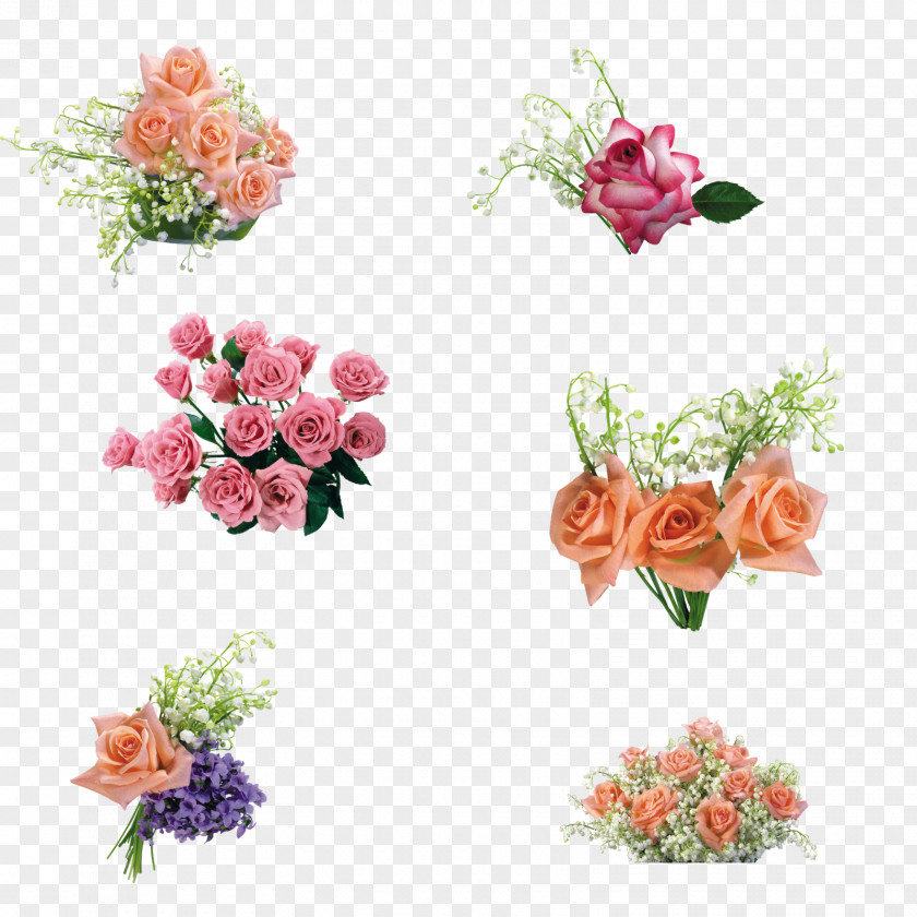 Flower Borders Cut Flowers Drawing Floral Design Hummingbird PNG