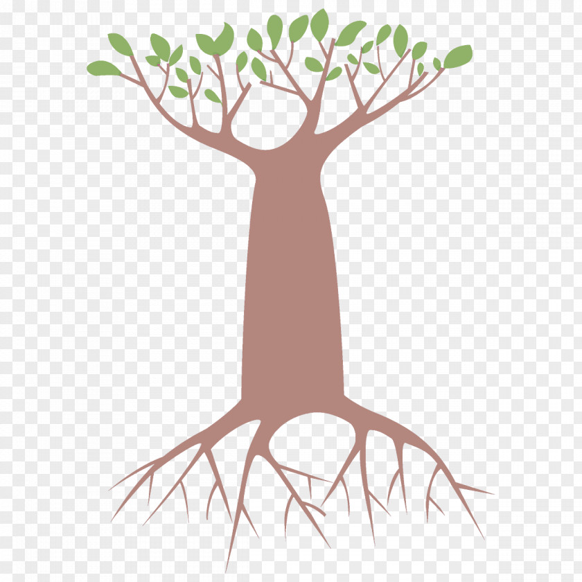 Furniture Leaf Tree Branch Root Woody Plant Grass PNG