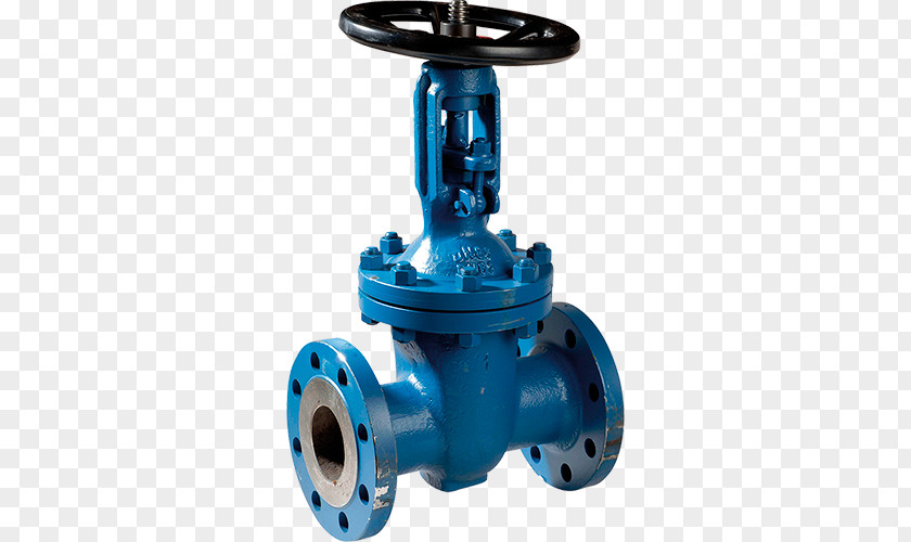 Gate Valve Butterfly Steel Hose PNG