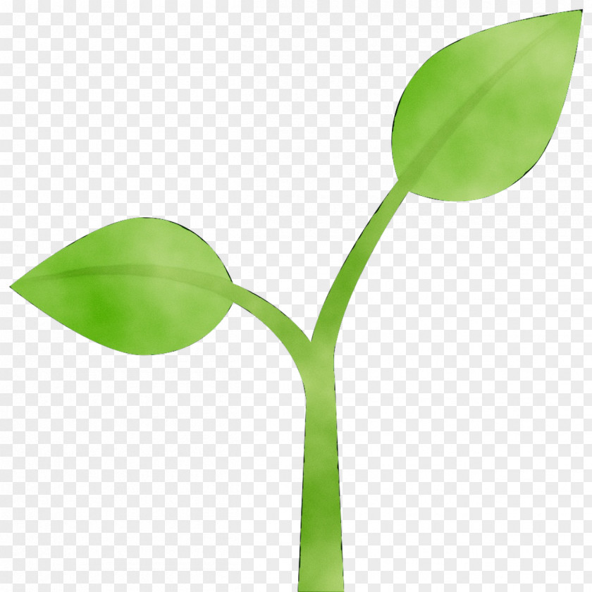 Leaf Plant Stem Product Design PNG