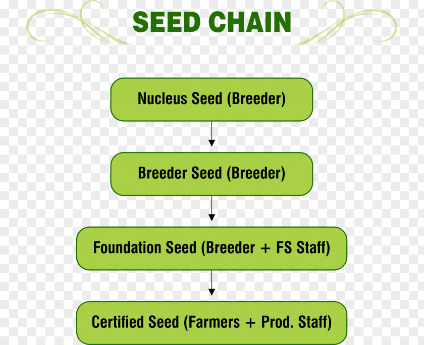 Seed Zlock System Supply Chain Zecurion PNG