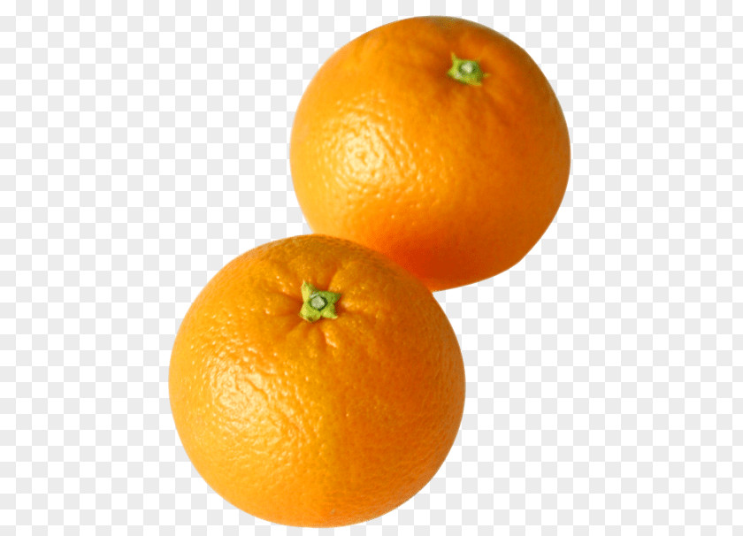 Orange Mandarin Citrus × Sinensis Tangerine Lemon PNG