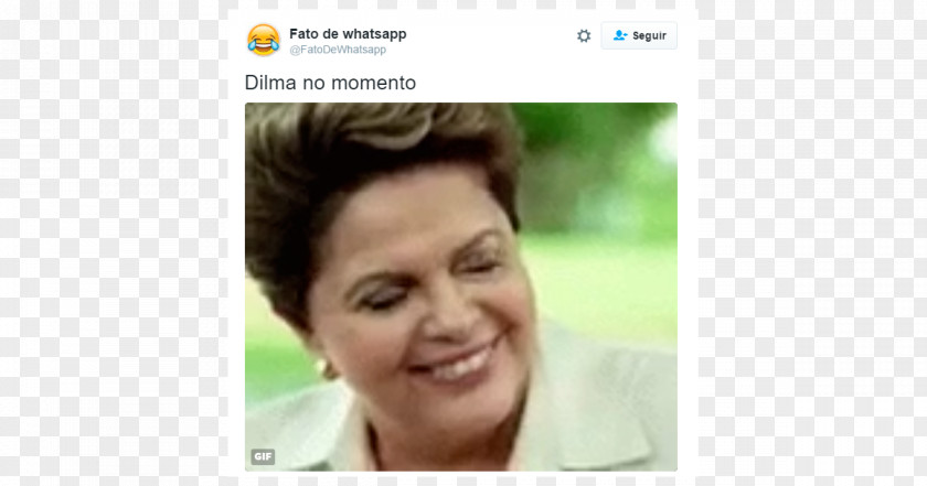 Sense8 Impeachment Of Dilma Rousseff Chamber Deputies Brazil President PNG