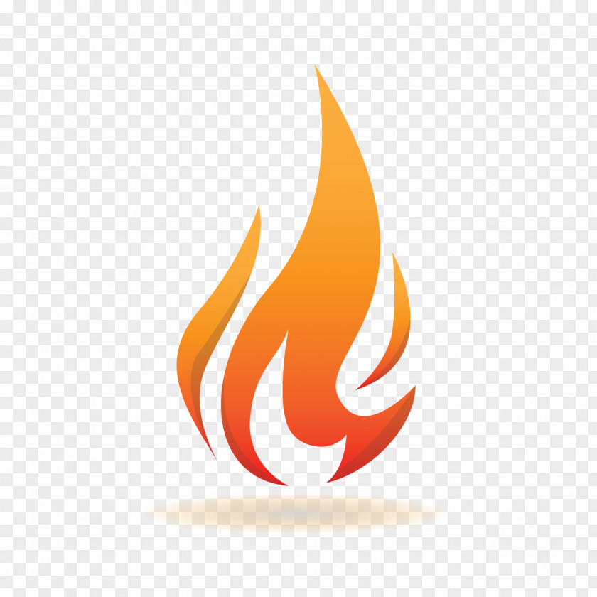 Flame Fire Logo PNG