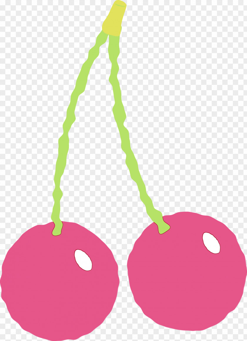 Plant Cherry Fruit Drupe PNG