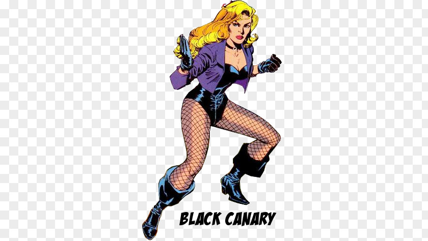 Arrow Black Canary Batman Flash Comics PNG