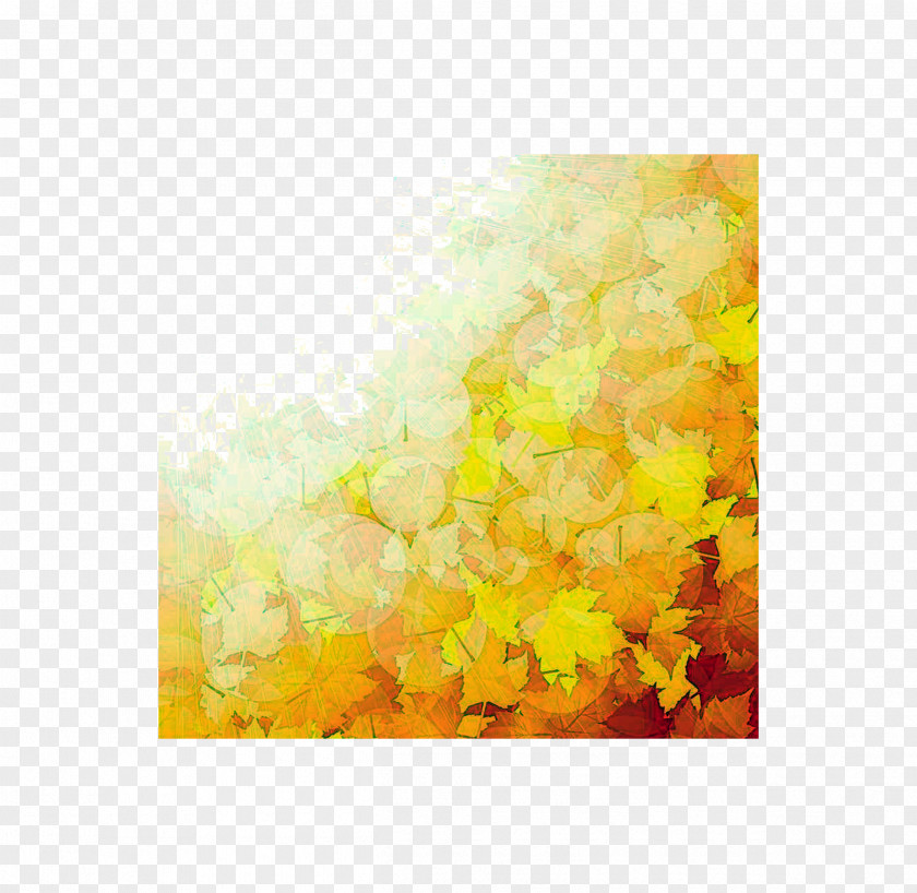 Autumn Maple Leaf PNG