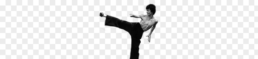 Bruce Lee PNG clipart PNG