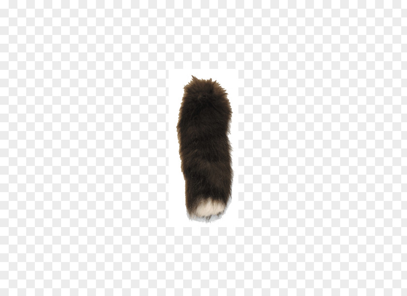 Fox No Buckle Diagram Dog Breed Fur Tail PNG