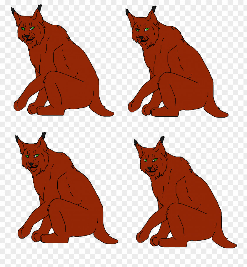 Lynx Cat Red Fox Mammal Carnivora PNG