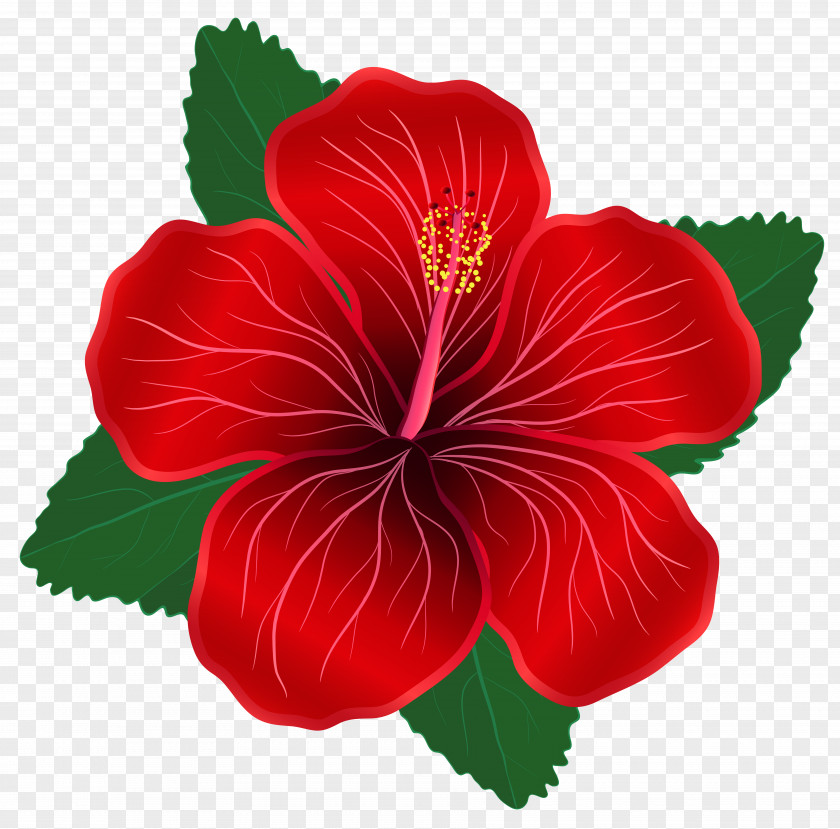 Red Flowers Cliparts Flower Clip Art PNG