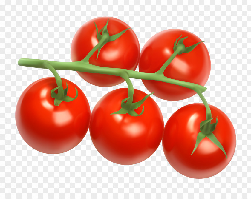 Vegetable Cherry Tomato Clip Art Grape Cherries Vector Graphics PNG