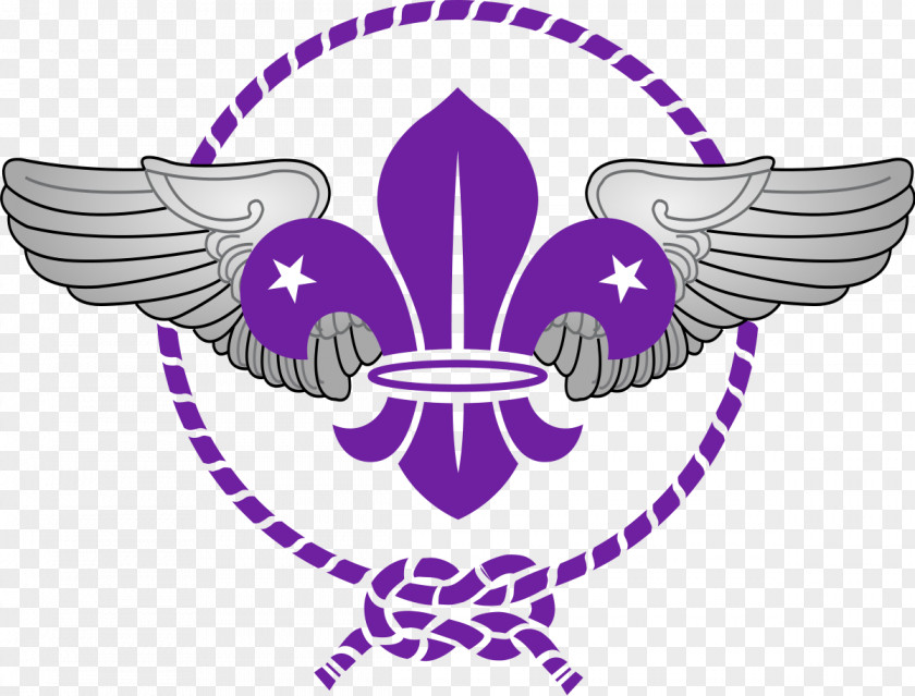 Badges Scouting World Scout Emblem The Association Promise Group PNG