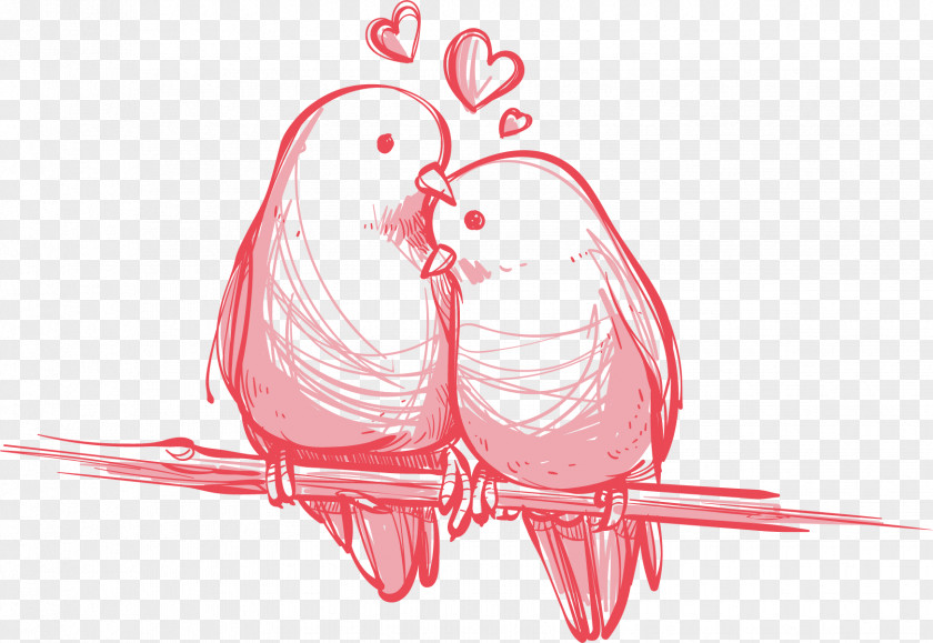 Vector Love Birds Hand-painted Bird Valentine's Day Wedding Gift Wallpaper PNG