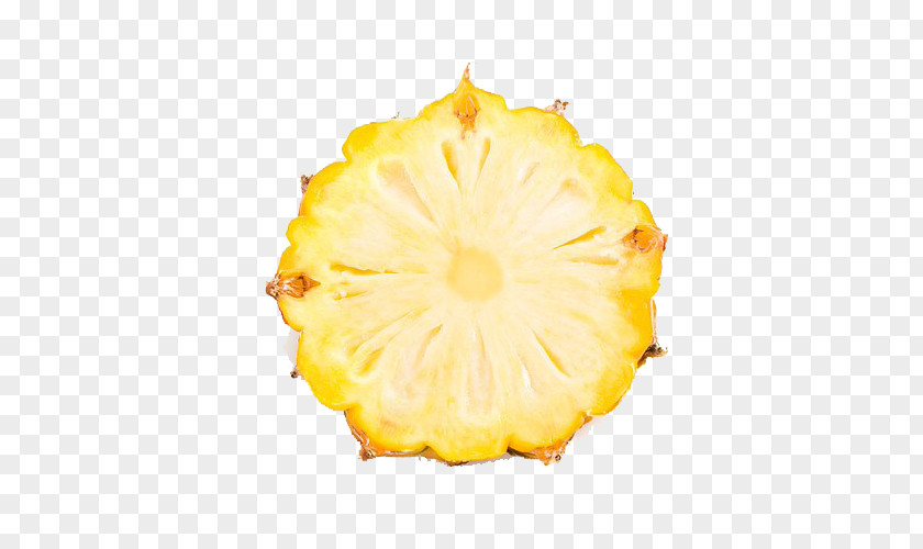Creative Pineapple Slices Juice Slice Fruit PNG