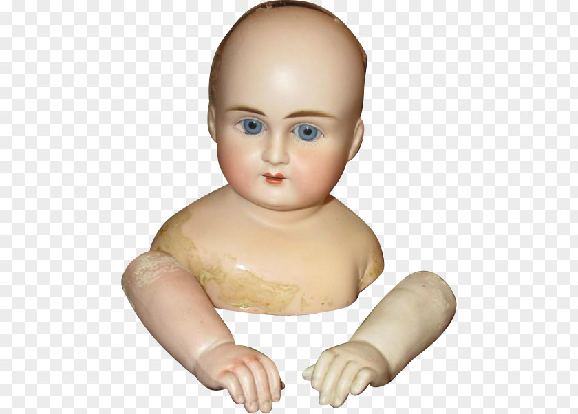 Thumb Mannequin Toddler Infant Jaw PNG