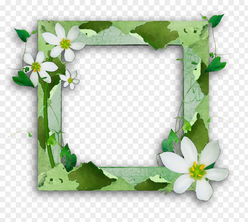 Wildflower Rectangle Beautiful Photo Frames PNG