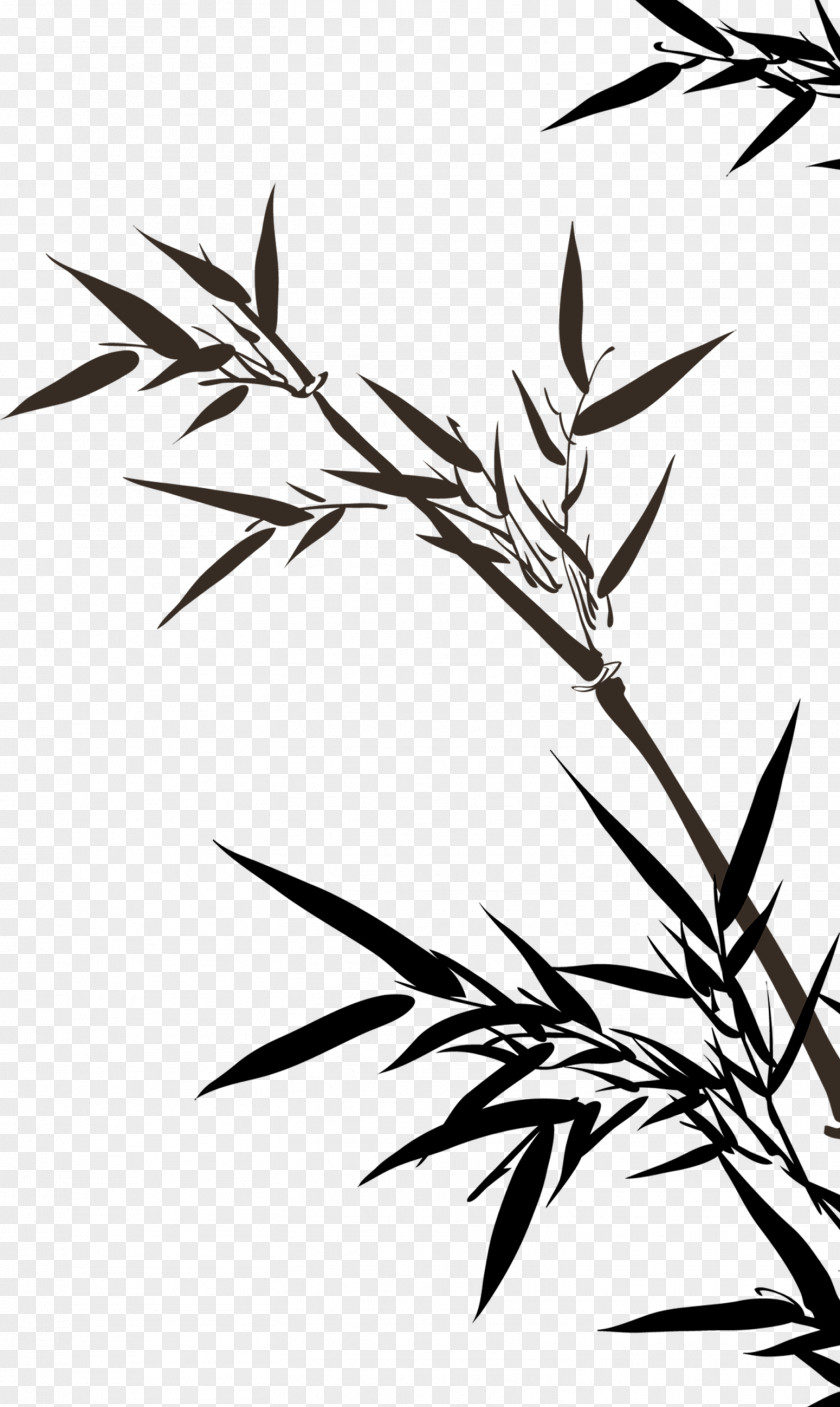 Bamboo Leaves Drawing Clip Art PNG