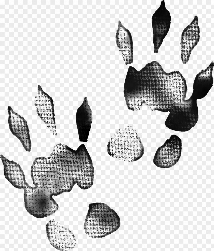 Creative Black Animal Footprints Track Creativity PNG