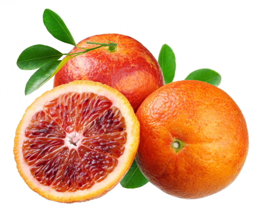 Lemon Citrus Fruit Soda Syphon Navel Orange Grapefruit Juice PNG
