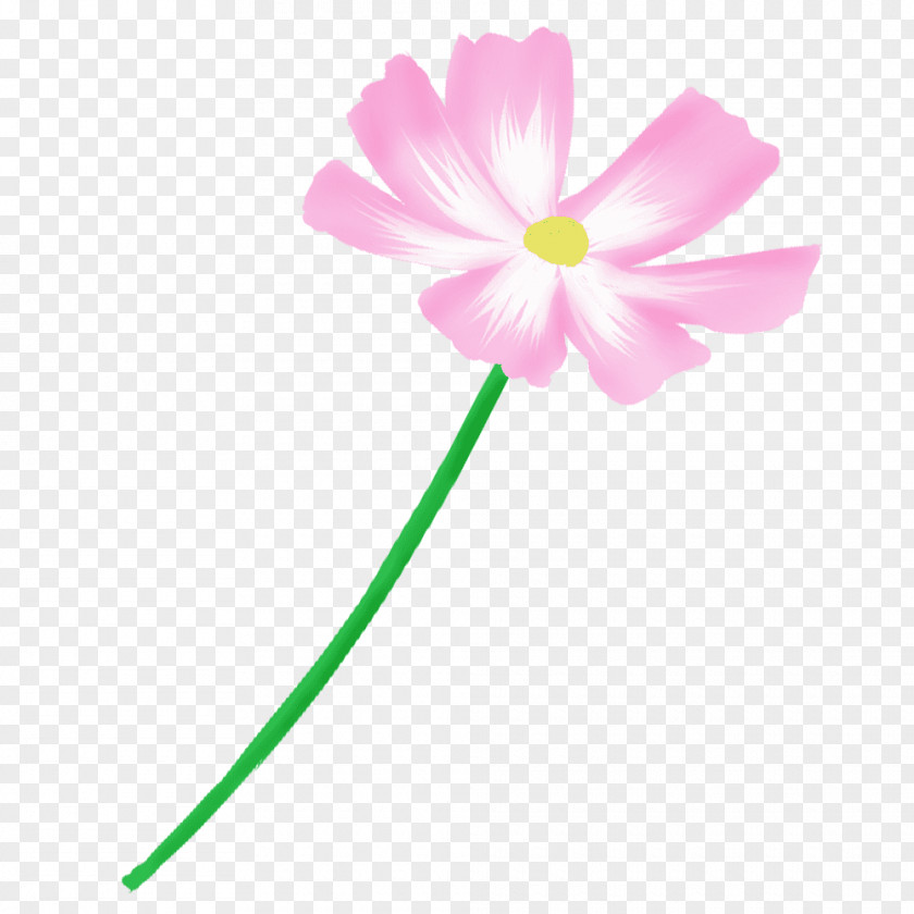 Pink Blue Red Petal Yellow PNG
