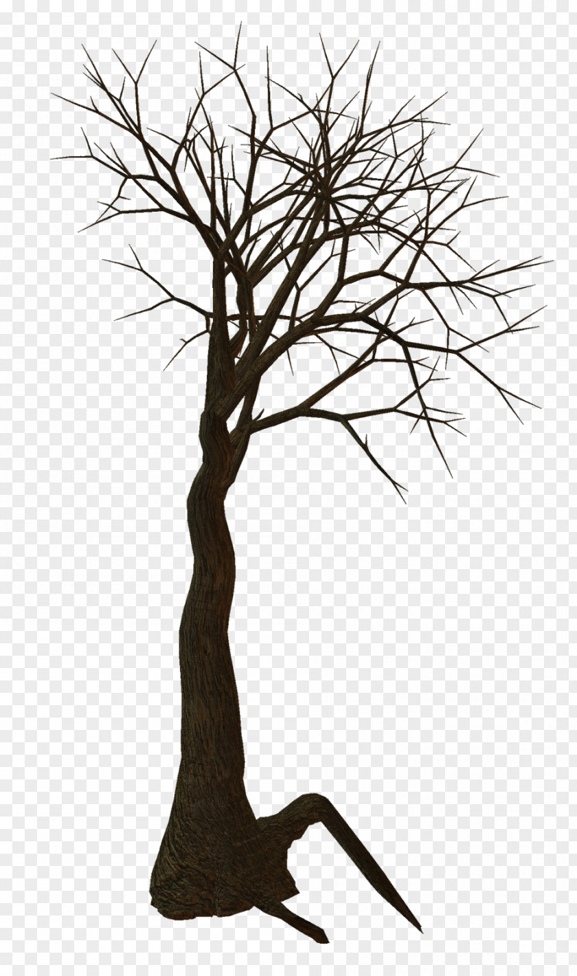 Root Tree Woody Plant Clip Art PNG