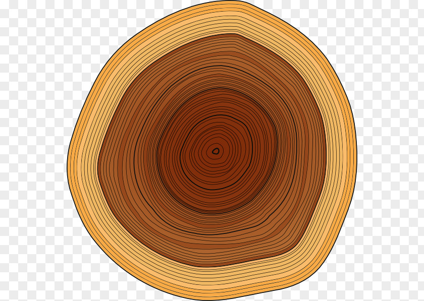 Small Logs Cliparts Wood Lumberjack Tree Stump Clip Art PNG