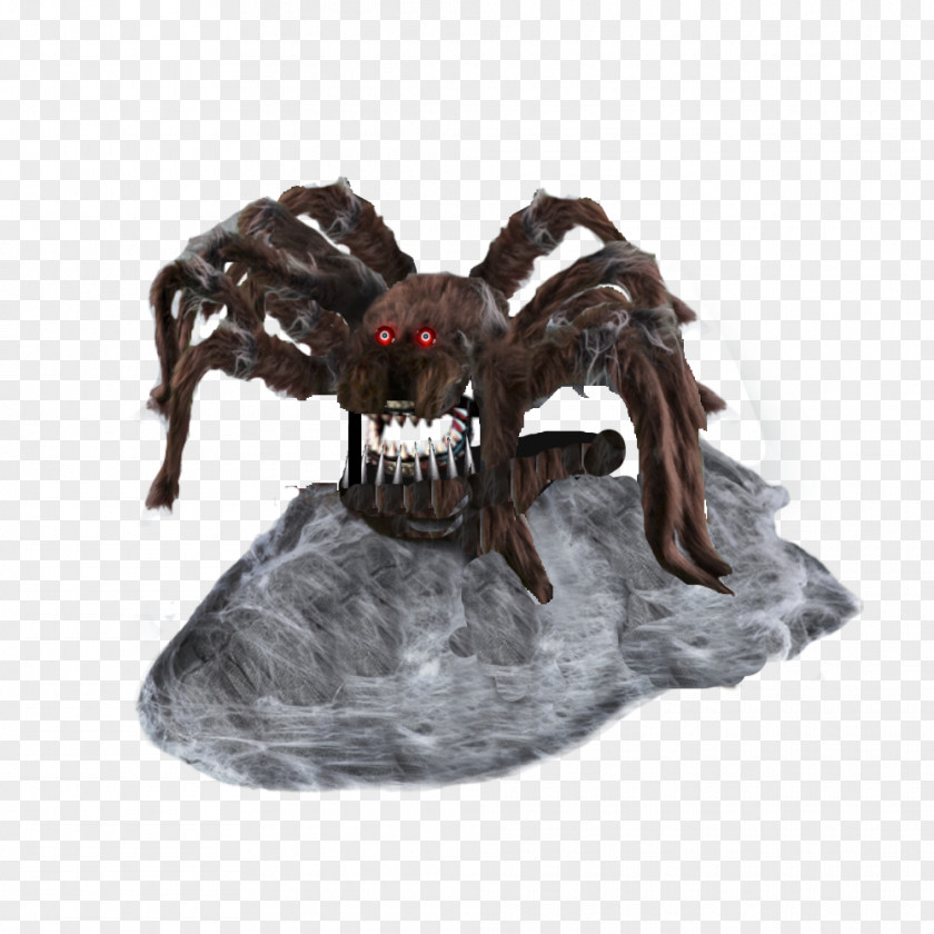 Spider Pumpkin Craft Jumping Drawing Brown Recluse Spider-Man PNG