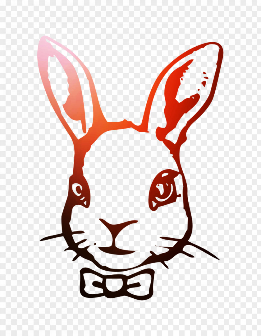 Domestic Rabbit Hare Easter Bunny Illustration Clip Art PNG