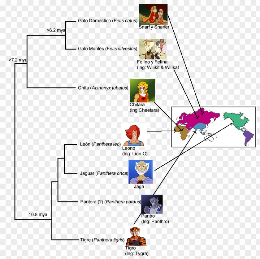 Panthro Character Name Phylogenetics Diagram PNG