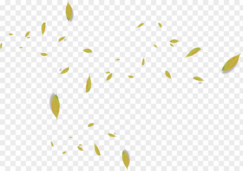 Green Leaves Falling Floating Material Angle Pattern PNG