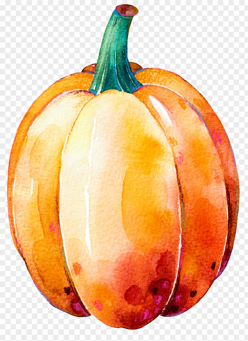 Painted Pumpkin Calabaza Gourd Winter Squash Thanksgiving Dinner PNG