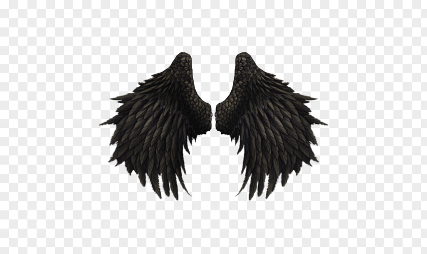 Angel Wings Rendering Light Icon PNG