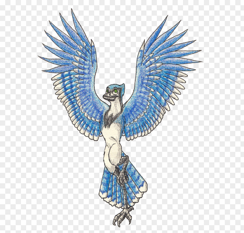 Bird Blue Jay Wing Eagle PNG