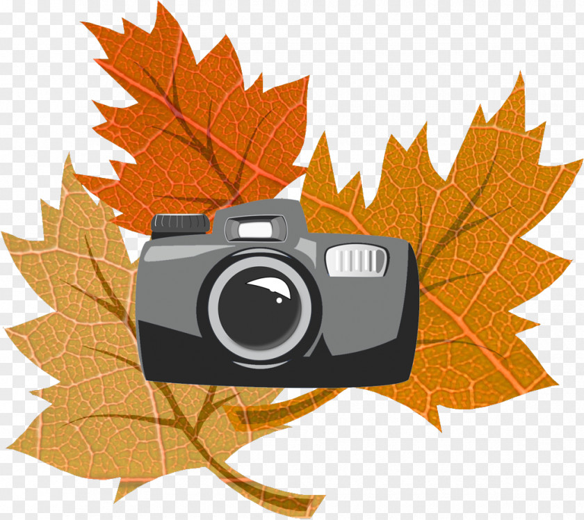 Fall Writing Ideas Clip Art Image Openclipart Autumn Leaf Color PNG