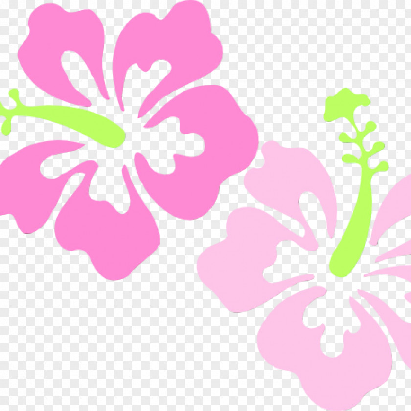 Geranium Pedicel Drawing Of Family PNG