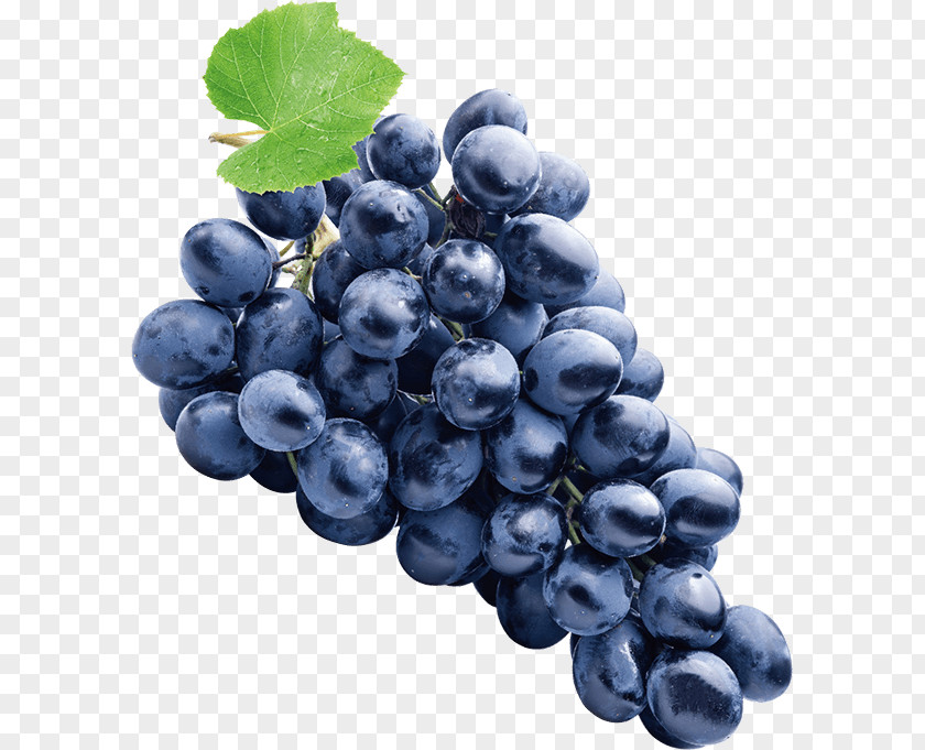 Grape Sultana Concord Zante Currant Common Vine PNG